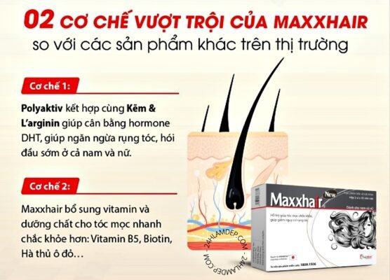 Cơ chế tác dụng vượt trội của Maxxhair